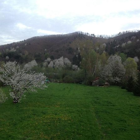 B&B Le Stanze Del Moro Pallare Exterior foto