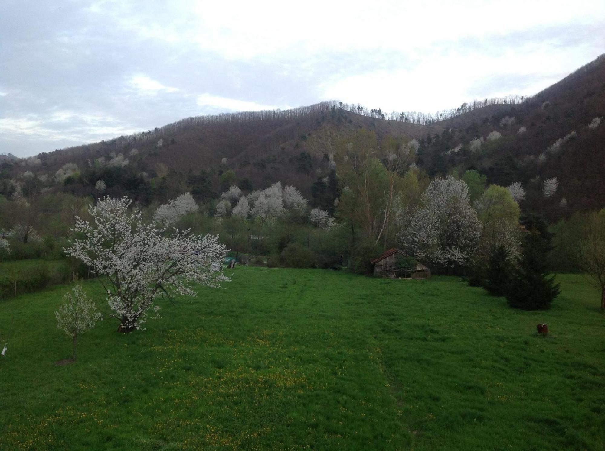 B&B Le Stanze Del Moro Pallare Exterior foto